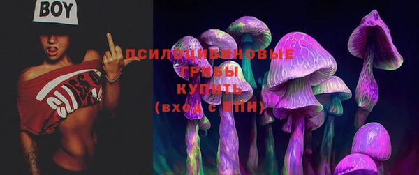 винт Михайловск