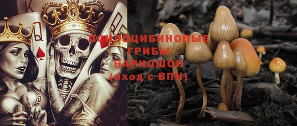 соль курить ск Михайловка